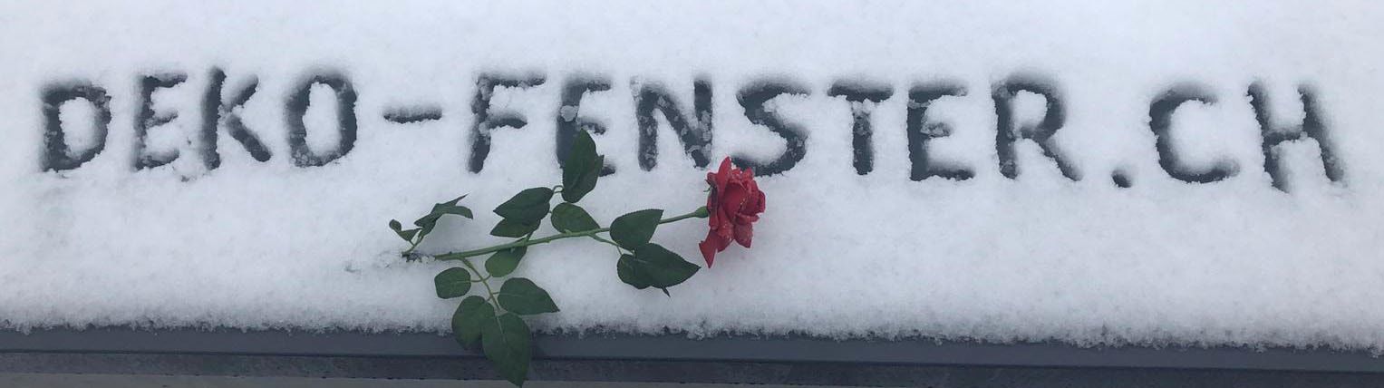 DEKO - FENSTER - Deko-Fenster